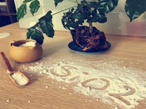 कैरी एजेंट के रूप में फ़ीड के लिए सिलिका पाउडर